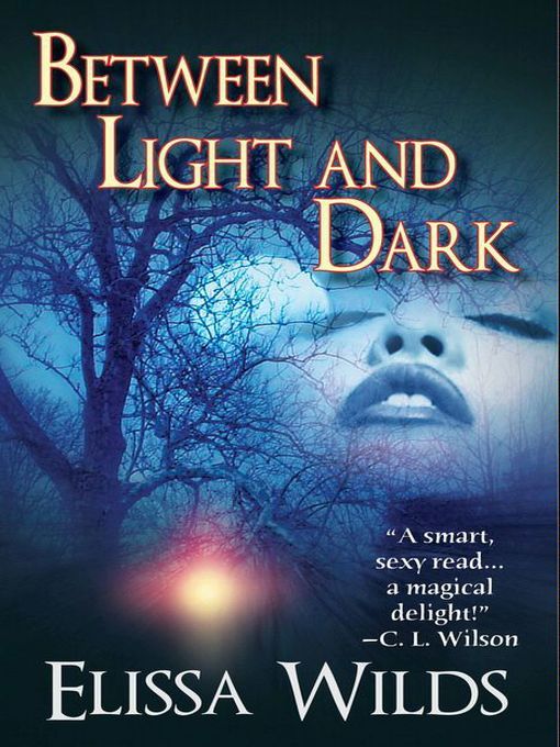 Title details for Between Light And Dark by Elissa Wilds - Available
